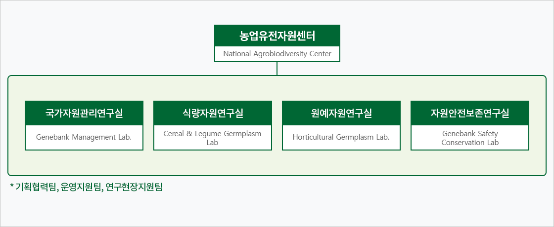 조직