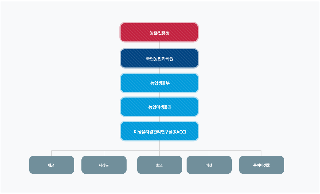 조직도