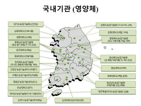 국내기관(영양체)