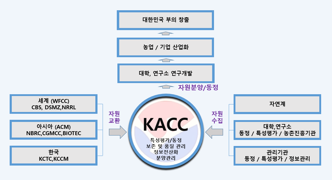 KACC 업무