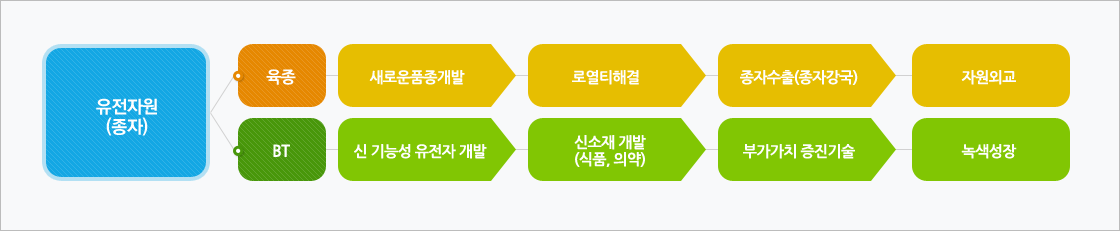 국제기구 이미지