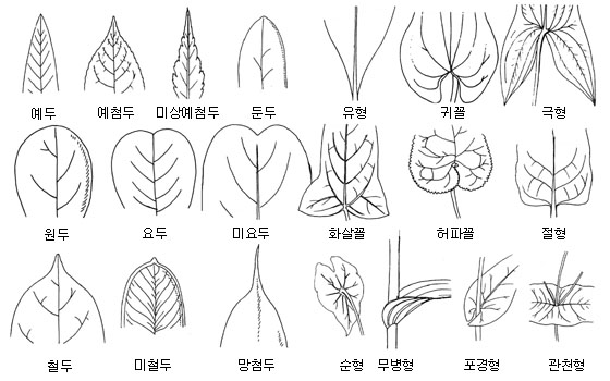 이미지 설명