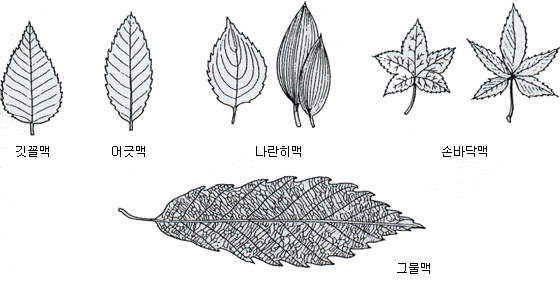 이미지 설명