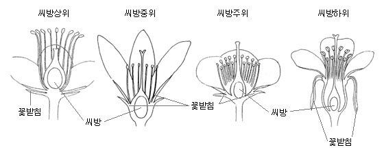 이미지 설명