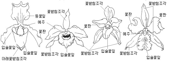 이미지 설명