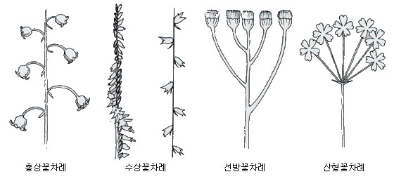 이미지 설명