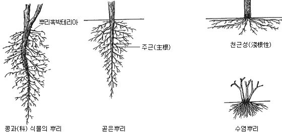 이미지 설명