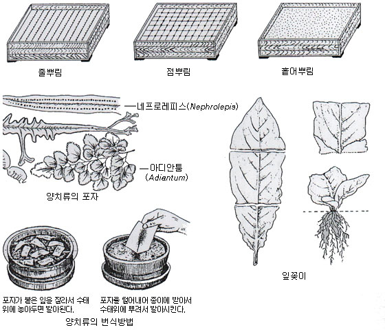 이미지 설명