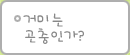 거미는 곤충인가?