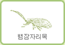 뱀잠자리목